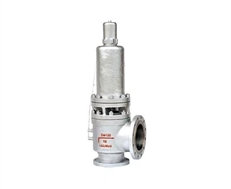 TA40Y带散热器弹簧全启式安全阀